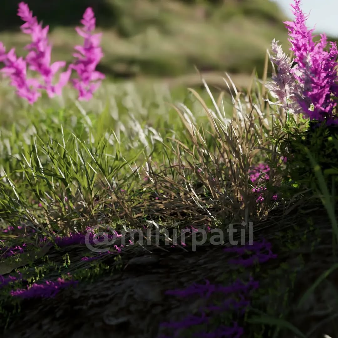 Lavender Environment